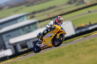 PJ-Motorsport-2019;anglesey-no-limits-trackday;anglesey-photographs;anglesey-trackday-photographs;enduro-digital-images;event-digital-images;eventdigitalimages;no-limits-trackdays;peter-wileman-photography;racing-digital-images;trac-mon;trackday-digital-images;trackday-photos;ty-croes